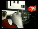 くまうた　（4344）「競女」　唄：嵐山クマ男（夫)