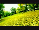 秋の公園改２(画質アップグレード?)