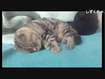 生放送中に地震