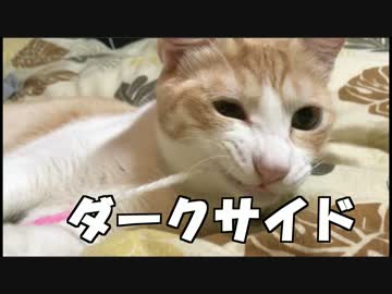 毛糸の力に溺れダークサイドに落ちたロビン