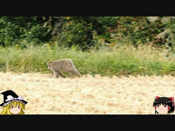 ゆっくりの田舎と自然　第７話「神無月のころに 3の１」