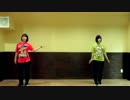 【Vivid_DAY_s / ソロ】  シオカラーズのソロ曲踊ってみた 【あか色】