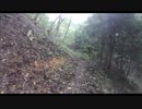 【CBRは】オバンドウ峠リベンジ【やっぱり…】
