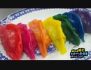 宇都宮「七色のレインボー餃子」作って食べてみたよ【嫌がる娘に無理や