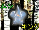 役割野郎のシングルレートpart7【ポケモンoras】