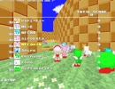[8] Sonic Robo Blast 2 マルチプレイ通常冒険03