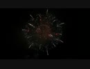 2016.10.15 （熊本） 八代花火　 「恋するイルカ」