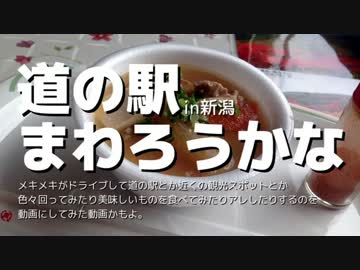 【新潟】道の駅まわろうかな3日目 中編【村上いろいろ】