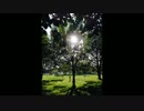 Far-off wish that the moon drew-光と影-