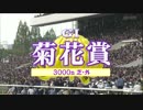 菊花賞2016