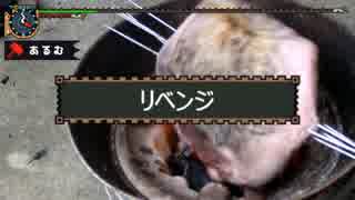 【体力非表示】死んだら即データ消去のモンスターハンター【MHX実況12】