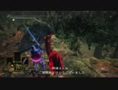 ダークソウル３　脳筋で侵入