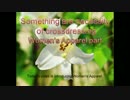 Something let man looks beautiful:some goods are necessities of crossdressing part 3