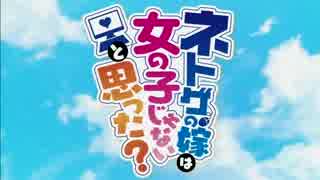 ネトゲの嫁は女の子じゃないと思った？　OP&ED