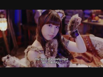 セクシーキャットの演説(Promotion Edit)