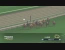 配合理論ガバガバな馬主が牝馬六冠を目指す　１０年目（３５年目）