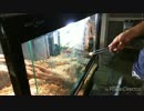 我が家の可愛いトカゲ様