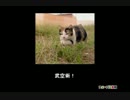【IPPON】たけぞー大喜利3【動画にしてみた】