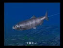 ぬし釣り６４　にこ男の旅　part34