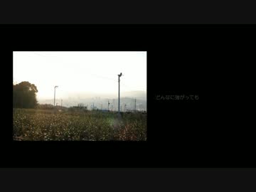 花火 ／ アートモバイル