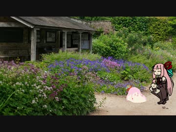 井戸端ｾﾔﾅ