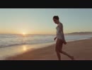 The Last Shadow Puppets - Everything You've Come To Expect (Official Video)