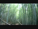 低山を歩こう かんざし岩 20161023 part1