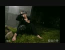 【翔夜】箱庭の夢 【踊ってみた】