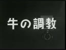 ホモと学ぶ牛の調教