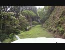 ゆっくり林道めぐり！林道大堤線