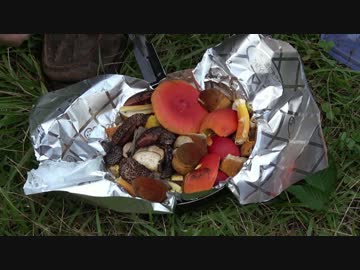 【自然を食べよう！】イノシシ肉とキノコのホイル焼き編　3/3