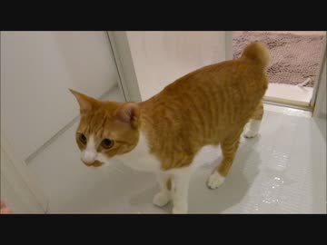 ボクも洗って～～