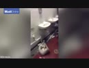 マンチェスターシティファン、オールド・トラッフォードのトイレ破壊