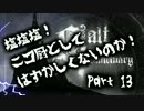 【Salt and Sanctuary実況】塩塩塩！ニコ厨としてはずかしくないのか！　13