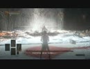SL1 カンスト 黒い炎のフリーデ