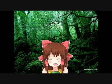 深い深い森の神社.mp4