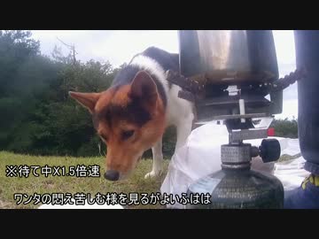 山で食べる飯は(ﾟдﾟ)ｳﾏｰ　新米猟師ハンターライフ3rdシーズン03