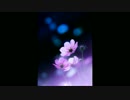 【NNI】unravel