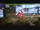 【MHX】 白疾風ナルガクルガ Lv10 ギルド操虫棍 9'18''63