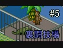 【多重縛り実況】低スペロックマンがエグゼ6完全攻略 part5