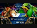 CanadaCup2016 スト5 TOP24Losers ウメハラ vs AlucarD