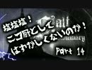 【Salt and Sanctuary実況】塩塩塩！ニコ厨としてはずかしくないのか！　14