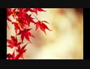 Koto love affair（琴情事）（ボカロオリジナル）