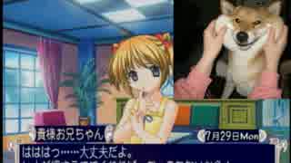 30歳オッサン二人でSisterPrincess2実況プレイ【Part8】