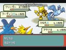 ポケモンエメラルド対戦' Pokemon emerald battle-11