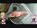 【VOICEROID実況】釣然なるままに、ゆかマキかんつり奇行【魚釣り】
