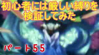 【新・世界樹の迷宮】初心者には厳しい縛りを検証してみたPart55