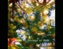 【アレンジ】BRAMBLES -Arrange at Dusk-