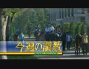'16今週の調教10月～12月BGM