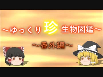 ～ゆっくり　珍　生物図鑑～　番外編8